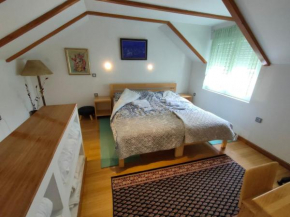Apartman Coneli